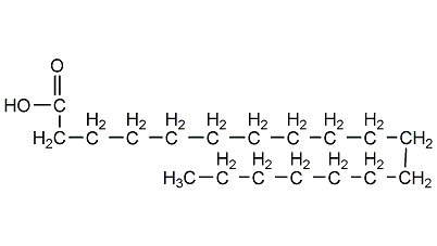硬脂酸(stearic acid)简介(pic2) 硬脂酸(stearic acid)简介(pic2)