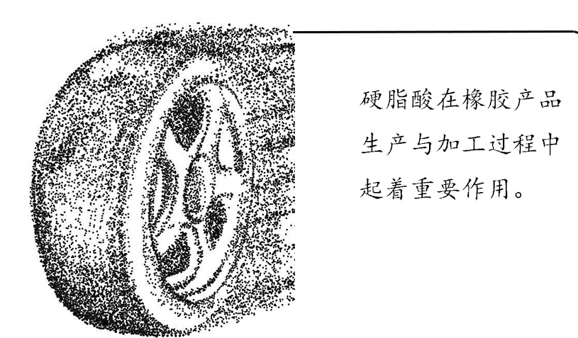 硬脂酸在橡胶产品生产加工过程起着重要作用(pic1) 硬脂酸在橡胶产品生产加工过程起着重要作用(pic1)