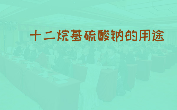 十二烷基硫酸钠的用途(pic1)